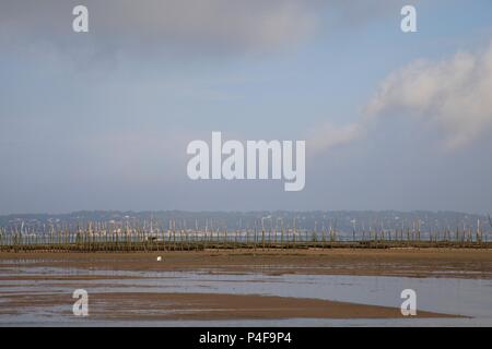 Am Abend Licht über das Bassin d'Arcachon von Cap Ferret, Gironde, Frankreich 2018 Stockfoto