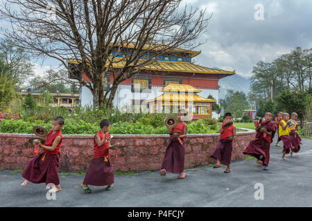 Gangtok, Indien - 3. Mai 2017: Nicht identifizierte junge Novizin buddhistische Mönche im traditionellen roten Roben üben in Spielen tibetische Musik Instrument tingsha Stockfoto