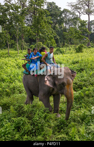 Jaldapara, Indien - 5. Mai 2017: Jaldapara Jaldapara Elephant Safari im Nationalpark. Stockfoto
