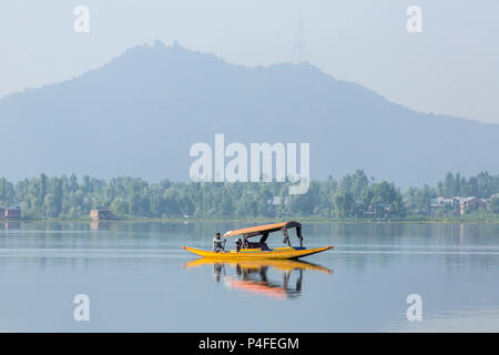 Srinagar, Indien - 15. Juni 2017: Mann, ein shikara Boot auf dem Dal Lake in Srinagar, Kashmir, Indien. Stockfoto
