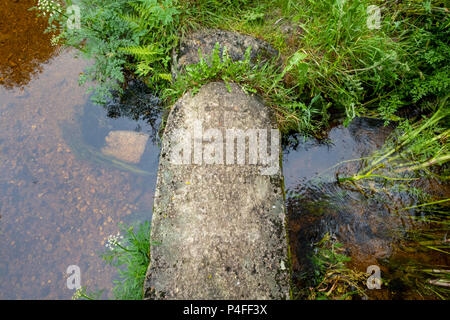 Fußgängerbrücke aus einem alten Grabstein, Kreuze über einen kleinen Bach in der Nähe von Plestin-les-Grèves, Bretagne, Frankreich. Stockfoto