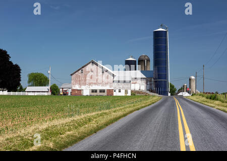 Malerische Molkerei mit weißen Scheune und neue Maisfeld entlang einer Straße in Pennsylvania, USA. Stockfoto