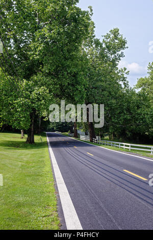 Land straße verschwindet in hohen schattigen Bäumen für eine szenische Sommer Fahrt durch ländliche Landschaft, Maryland, USA. Stockfoto
