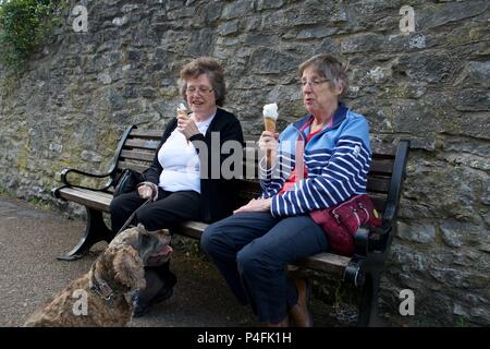 Ein Hund sitzt geduldig als zwei Damen ihre Eis essen Speiseeis Eistüten in Bakewell, Derbyshire, Großbritannien Stockfoto