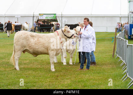 19 & 20 Juni 2018 - Die Cheshire Showground bei Clay House Farm Flittogate Lane, Knutsford bewirtete die 2018 Royal Cheshire County. Die Show ist Abou Stockfoto
