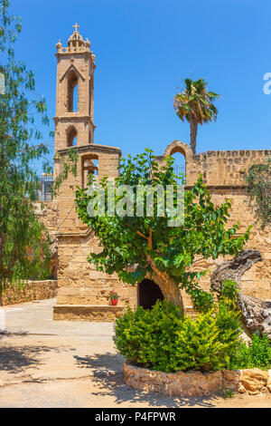 Ayia Napa, Zypern Stockfoto