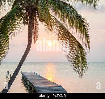 Tropische Sonnenaufgang über einen Holzsteg mit Palme Stockfoto