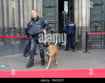 Köln, Deutschland. 22. Juni, 2018. Ein Polizei Sauganlegerhundes führen durch die evakuierten Kölner Dom. Das Gebäude wurde durch einen Verdächtigen Mann, der in Gewahrsam genommen wurde evakuiert. Foto: Roland Weihrauch/dpa/Alamy leben Nachrichten Stockfoto