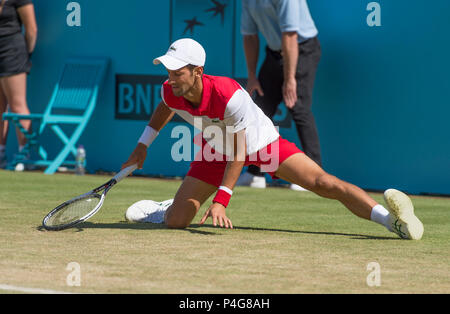 Die Queen's Club, London, Großbritannien. 22 Juni, 2018. Tag 5 Viertelfinale auf dem Center Court mit Adrian Mannarino (FRA) vs Novak Djokovic (SRB), mit Djokovic rutscht bei einer Rücksendung aus Mannarino. Credit: Malcolm Park/Alamy Leben Nachrichten. Stockfoto