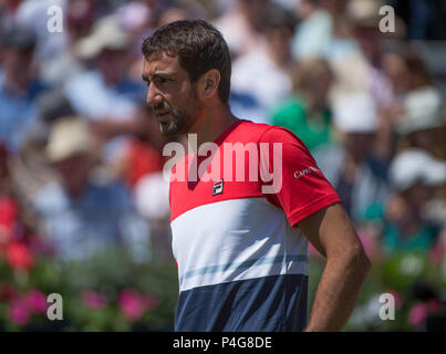Die Queen's Club, London, Großbritannien. 22 Juni, 2018. Tag 5 Viertelfinale auf dem Center Court mit Marin Cilic (CRO) vs Sam Querrey (USA). Credit: Malcolm Park/Alamy Leben Nachrichten. Stockfoto