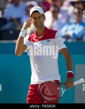 Queens Club, London, Großbritannien. Am 22. Juni 2018. Während der Herren Einzel QF bei Fieber Baum Meisterschaften (Queens Club Tennis 2018) Tag 7 im Queen's Club, London, England am 22. Juni 2018. Foto von Andy Rowland. Credit: Andrew Rowland/Alamy leben Nachrichten Stockfoto