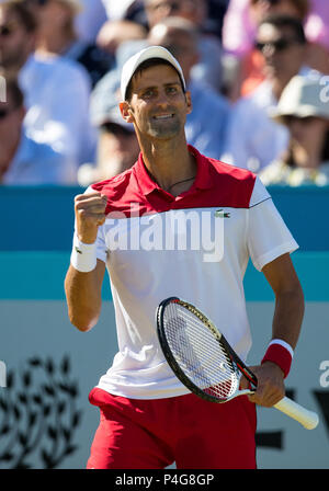 Queens Club, London, Großbritannien. Am 22. Juni 2018. Während der Herren Einzel QF bei Fieber Baum Meisterschaften (Queens Club Tennis 2018) Tag 7 im Queen's Club, London, England am 22. Juni 2018. Foto von Andy Rowland. Credit: Andrew Rowland/Alamy leben Nachrichten Stockfoto
