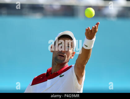 Queens Club, London, Großbritannien. 22. Juni, 2018. Das Fieber Baum Tennis Meisterschaften; Novak Djokovic (SRB) dient der Credit: Aktion plus Sport/Alamy leben Nachrichten Stockfoto