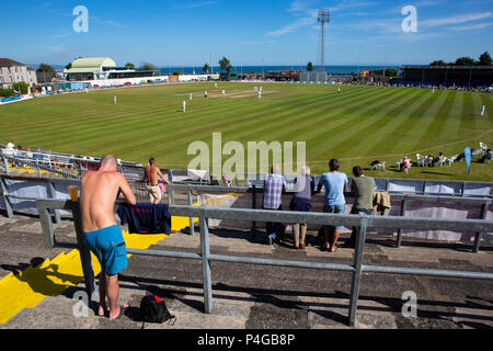 Ein Zuschauer Uhren ein erste klasse County Cricket Match auf einem glühend heißen Tag in Swansea Stockfoto