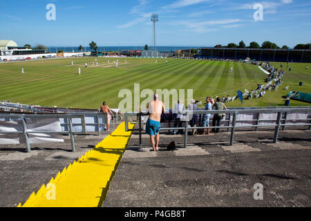 Ein Zuschauer Uhren ein erste klasse County Cricket Match auf einem glühend heißen Tag in Swansea Stockfoto