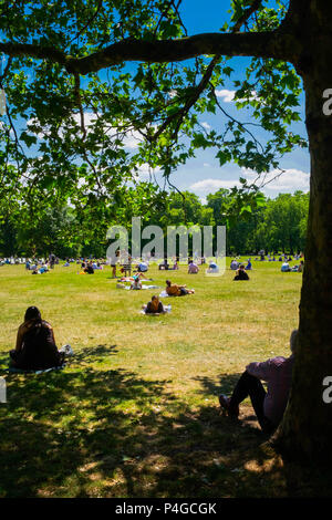 London, England. Am 22. Juni 2018. St. James Park füllt sich mit Touristen und Büroangestellte, Mittag zu essen. Das sonnige Wetter sagte für die nächsten Tage fortsetzen. © Tim Ring/Alamy leben Nachrichten Stockfoto