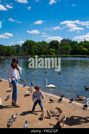 London, England. Am 22. Juni 2018. Ein Junge feeds Entenküken in der Serpentine. Das sonnige Wetter sagte für die nächsten Tage fortsetzen. © Tim Ring/Alamy leben Nachrichten Stockfoto