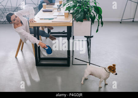 Geschäftsfrau holding Jack Russel Terrier an der Leine und Kollegen sitzen am Tisch in modernen Büro Stockfoto