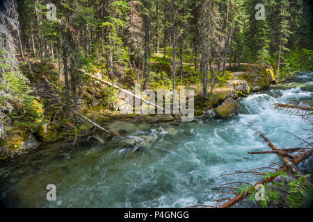 Die Wild und Scenic Lostine River im Wallowa Whitman National Forest im Nordosten Oregon Stockfoto