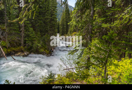 Die Wild und Scenic Lostine River im Wallowa Whitman National Forest im Nordosten Oregon Stockfoto