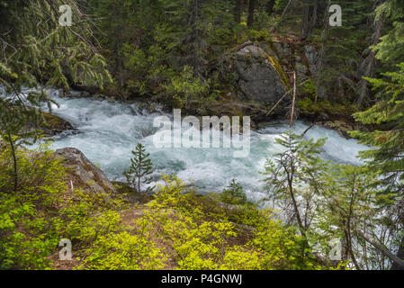 Die Wild und Scenic Lostine River im Wallowa Whitman National Forest im Nordosten Oregon Stockfoto