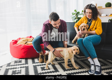 Paar spielen mit zwei Labrador Welpen beim Sitzen auf dem Sofa Stockfoto