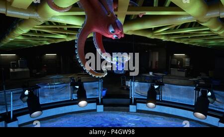 Original Film Titel: DIAGNOSE DORY. Englischer Titel: DIAGNOSE DORY. Regisseur: ANDREW STANTON; ANGUS MACLANE. Jahr: 2016. Credit: Pixar Animation Studios / WALT DISNEY PICTURES/Album Stockfoto