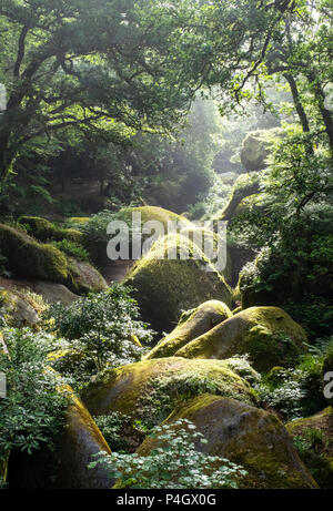 Le Chaos de Rochers, Huelgoat, Finistère, Bretagne, Frankreich Stockfoto