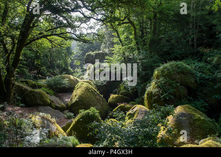 Le Chaos de Rochers, Huelgoat, Finistère, Bretagne, Frankreich Stockfoto