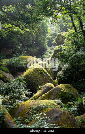 Le Chaos de Rochers, Huelgoat, Finistère, Bretagne, Frankreich Stockfoto