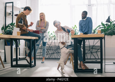 Lächelnd Geschäftsfrau Spielen mit Jack Russel Terrier an der Leine und Kollegen hinter stehen in modernen Büro Stockfoto