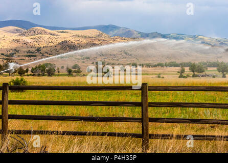 Licht vor einem Sturm am südwestlichen Montana Bauernhöfe mit Gallatin Bergkette und National Forest in der Ferne. Stockfoto