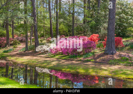 Reflexionen und Garten Szene im Azalea Garten bei Callaway Gardens in Pine Mountain, Georgia. Callaway Gardens, der vor allem für die berühmten ist Stockfoto