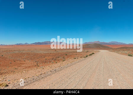 Desert Sand Dünen im südlichen Namibia im Januar 2018 getroffen Stockfoto