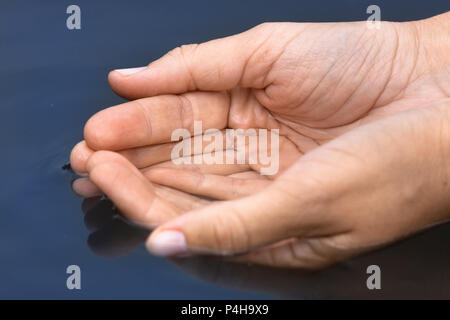 Hand schaufeln Wasser aus einem sauberen Teich Stockfoto