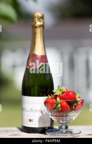 Close up glass dish of fresh UK strawberries & unopened bottle of champagne. Champagne and strawberries outdoors in summer sunshine. Wimbledon ready. Stockfoto