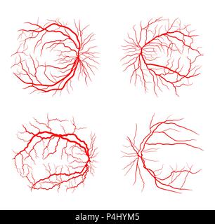 Auge Vene set System x Angiographie vektor design isoliert auf weißem Stock Vektor