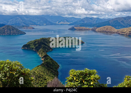 Maud Island in den Marlborough Sounds, gefährdete Animal Sanctuary, Neuseeland Stockfoto