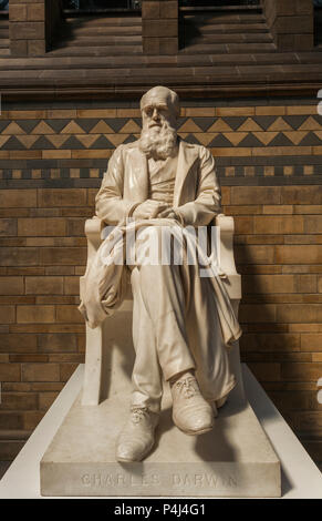 Charles Darwin Statue im Natural History Museum Stockfoto