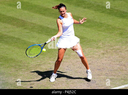 Sloweniens Dalila Jakupovic in Aktion bei ihrem Viertelfinale gegen die Slowakei Magdalena Rybarikova während Tag fünf der Natur Tal Klassiker an Priorat Edgbaston, Birmingham. Stockfoto