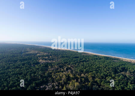Frankreich, Charente Maritime, Côte de Beauté, Pointe de la Coubre, La Tremblade, Sanddünen und der Cote Sauvage (wilde Küste) (Luftbild) // Frankreich Stockfoto