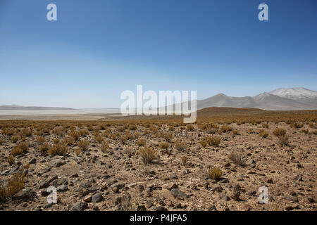 Farallon de Tara, der Hochebene mit Blick auf den Salzsee Salar de Tara Naturpark, San Pedro de Atacama, Chile Stockfoto