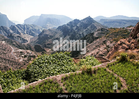 Landschaftsbild Saiq Plateau und Terrasse Anbau in Oman Stockfoto