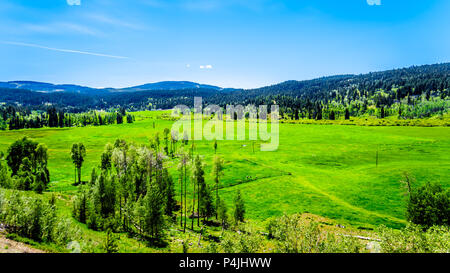 Schöne Natur Landschaft entlang der touristischen Route der Highway 5A ab Merrit nach Princeton im wunderschönen British Columbia, Kanada Stockfoto