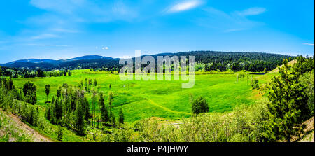 Schöne Natur Landschaft entlang der touristischen Route der Highway 5A ab Merrit nach Princeton im wunderschönen British Columbia, Kanada Stockfoto