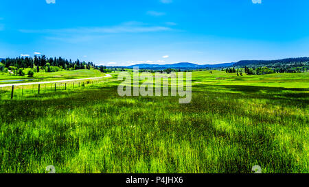 Schöne Natur Landschaft entlang der touristischen Route der Highway 5A ab Merrit nach Princeton im wunderschönen British Columbia, Kanada Stockfoto