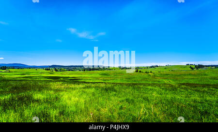 Schöne Natur Landschaft entlang der touristischen Route der Highway 5A ab Merrit nach Princeton im wunderschönen British Columbia, Kanada Stockfoto