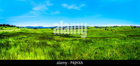 Schöne Natur Landschaft entlang der touristischen Route der Highway 5A ab Merrit nach Princeton im wunderschönen British Columbia, Kanada Stockfoto