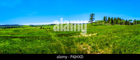 Schöne Natur Landschaft entlang der touristischen Route der Highway 5A ab Merrit nach Princeton im wunderschönen British Columbia, Kanada Stockfoto