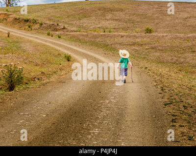 Kleiner Junge allein wandern in der Natur, in der oberen Hunter Valley, NSW, Australien. Stockfoto